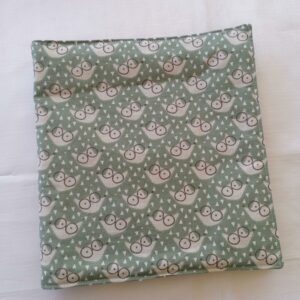Cahier coloriage - Foxy vert eau