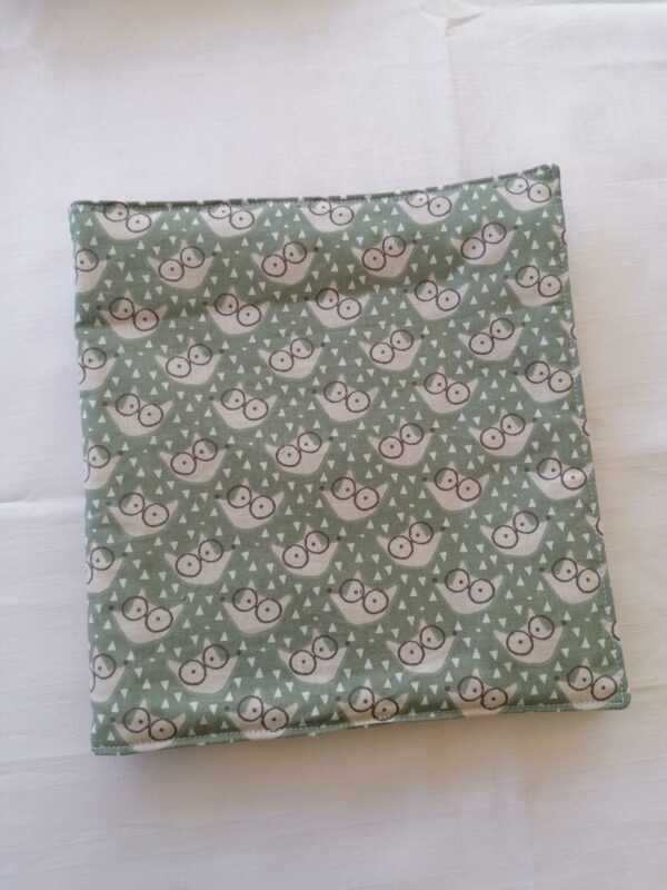 Cahier coloriage - Foxy vert eau