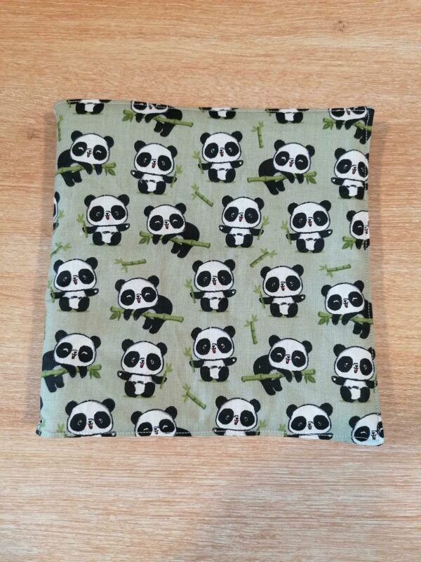 Cahier coloriage - Panda vert